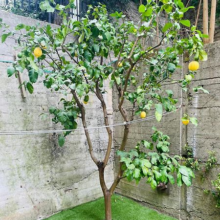 Lemon Tree Resort - Freeparking - Garden Genua Exterior foto